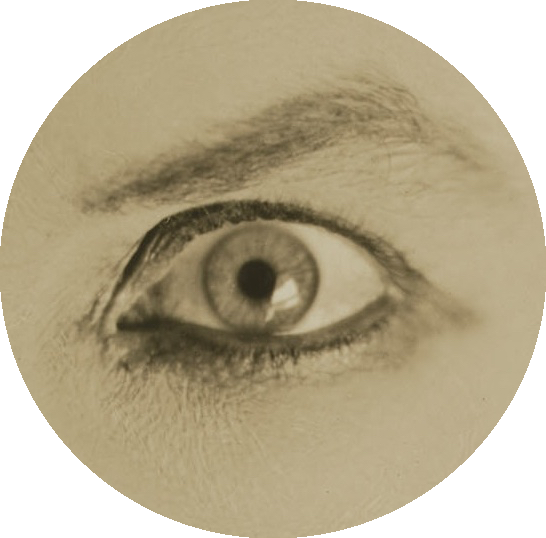 Wild About Harry PRESS